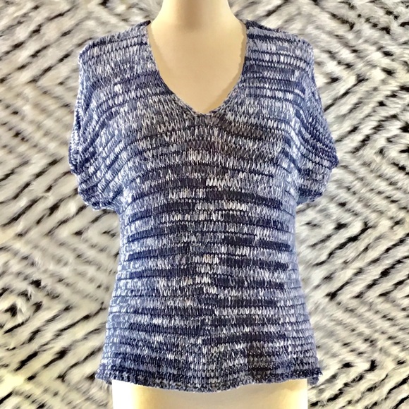 Eileen Fisher Sweaters - Eileen Fisher vneck sweater in shades of blue